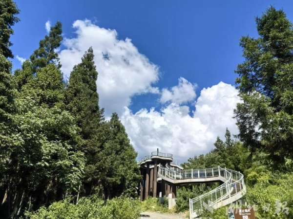 赢盈配资 巴东翠岭藏幽境 绿影清凉岁月闲