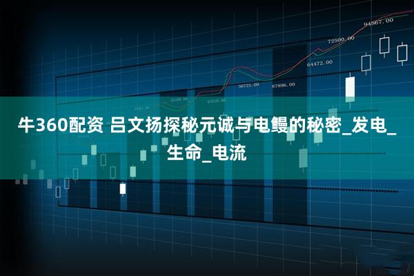 牛360配资 吕文扬探秘元诚与电鳗的秘密_发电_生命_电流