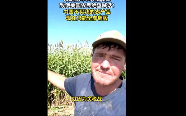 易配宝 中国一单不买，美农产品只能烂在地里，美尝到反华苦果，后悔已晚